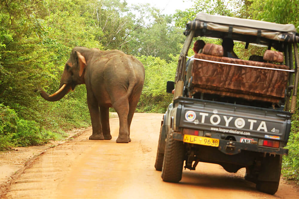 african-safari-game-drive-elephants