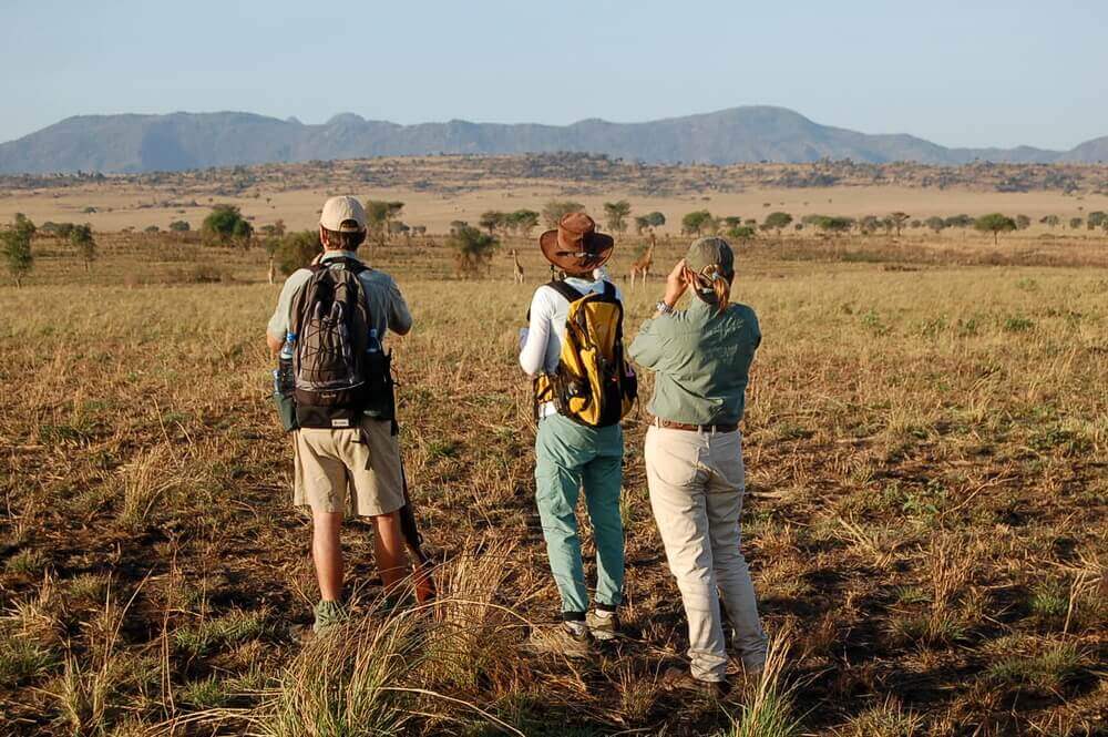 walking-african-safari-nature-walk